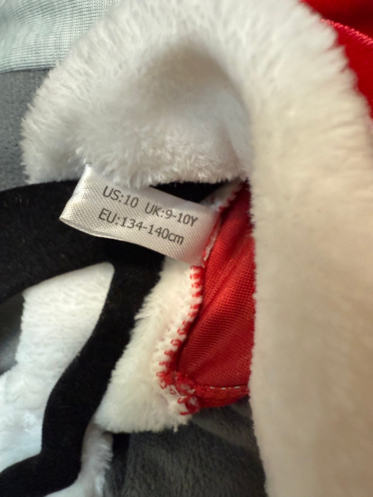 Christmas Dress 10Y RENT ONLY