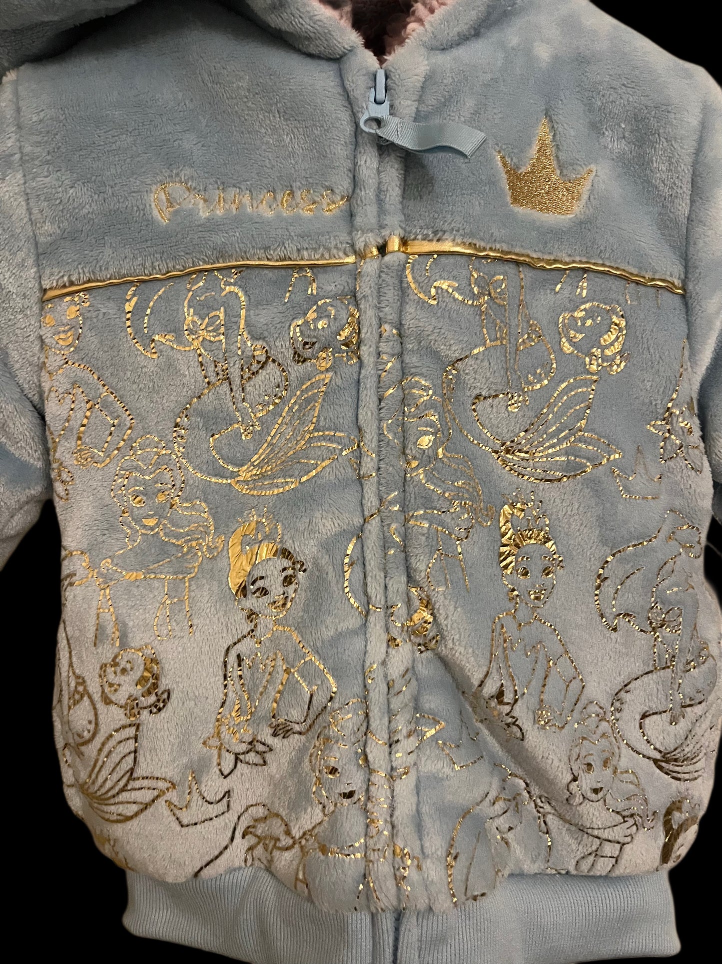 Disney Princess Jacket - 4T - Rent Only